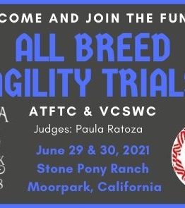 ATFT-VCSWC-Agility-Trials-