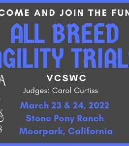 ATFT & VCSWC Agility Trials