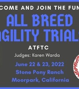 ATFT Agility Trials